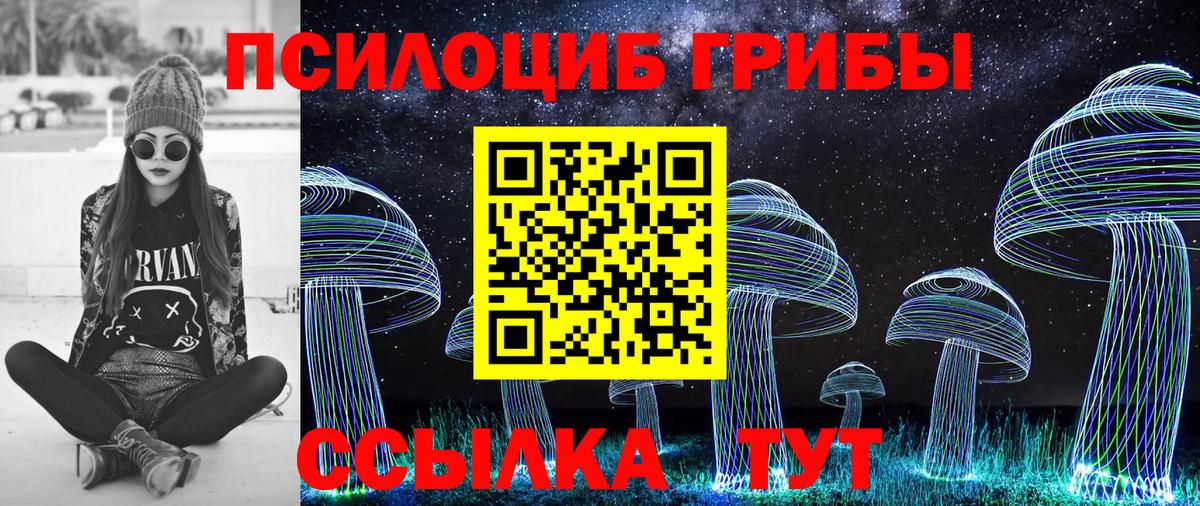 Галлюциногенные грибы ЛСД  Вход с VPN  Псилоцибиновые грибы мухоморы  где найти наркотики  Гай 